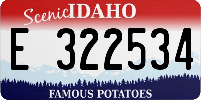 ID license plate E322534