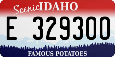ID license plate E329300