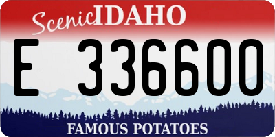 ID license plate E336600