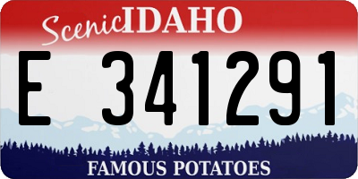 ID license plate E341291