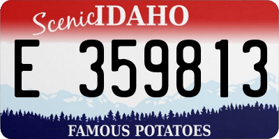 ID license plate E359813