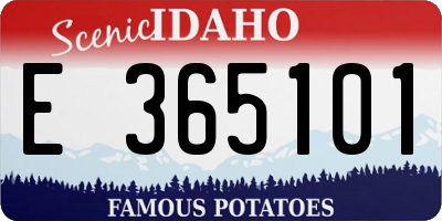 ID license plate E365101