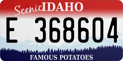 ID license plate E368604