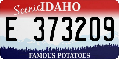 ID license plate E373209