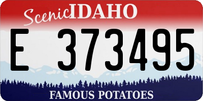 ID license plate E373495