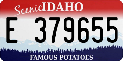 ID license plate E379655