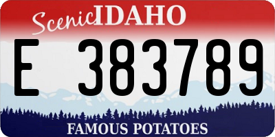 ID license plate E383789