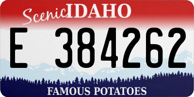 ID license plate E384262