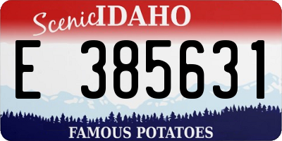 ID license plate E385631