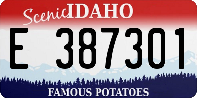 ID license plate E387301