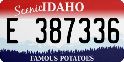 ID license plate E387336