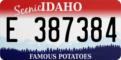 ID license plate E387384