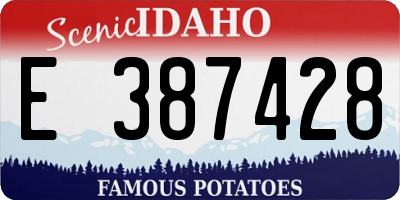 ID license plate E387428
