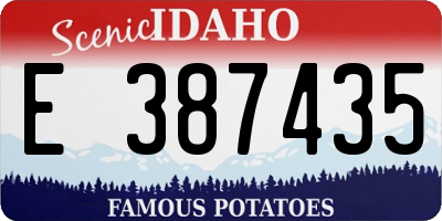 ID license plate E387435
