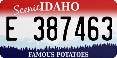 ID license plate E387463