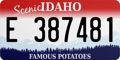 ID license plate E387481