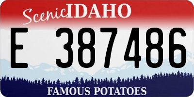 ID license plate E387486