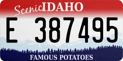 ID license plate E387495