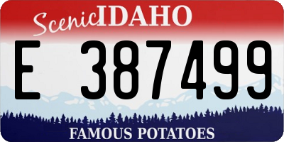 ID license plate E387499