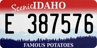 ID license plate E387576