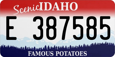 ID license plate E387585