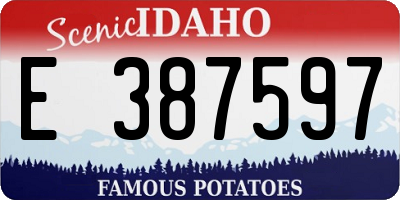 ID license plate E387597
