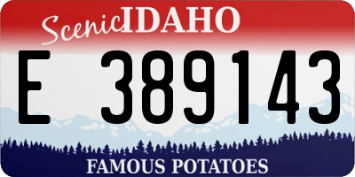 ID license plate E389143