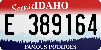 ID license plate E389164