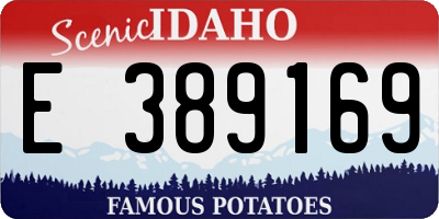 ID license plate E389169