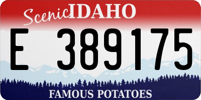 ID license plate E389175