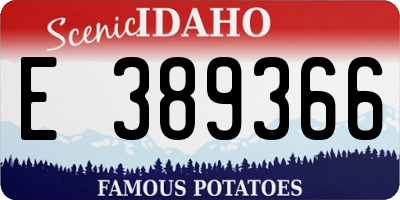 ID license plate E389366