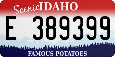 ID license plate E389399