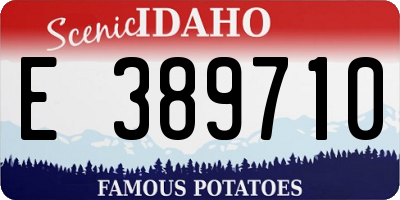 ID license plate E389710