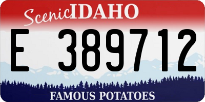 ID license plate E389712