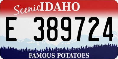 ID license plate E389724