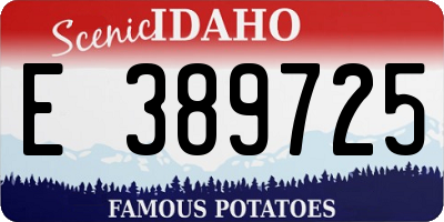 ID license plate E389725