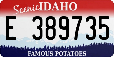 ID license plate E389735