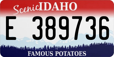 ID license plate E389736