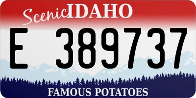 ID license plate E389737