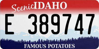 ID license plate E389747