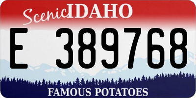 ID license plate E389768
