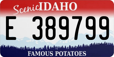 ID license plate E389799