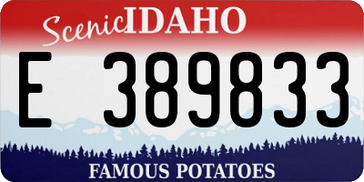 ID license plate E389833