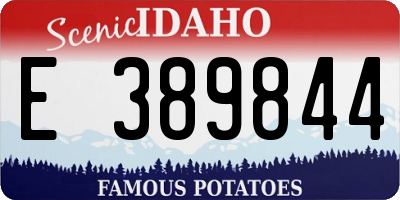 ID license plate E389844