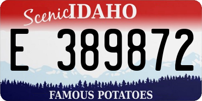 ID license plate E389872