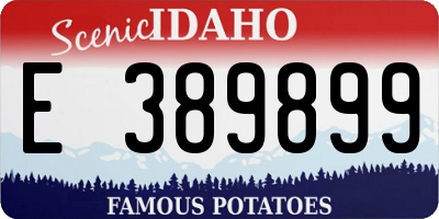 ID license plate E389899