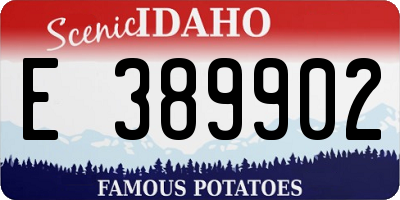ID license plate E389902