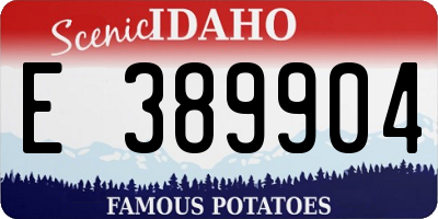 ID license plate E389904