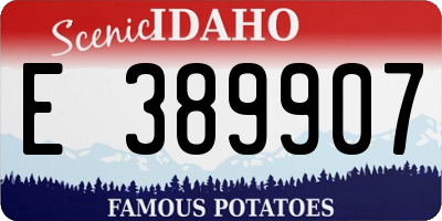 ID license plate E389907