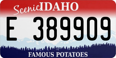 ID license plate E389909
